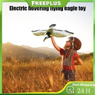 Electric Flying Eagle Bird Toy Hanging Wire Eagle Playing Toys Without Battery