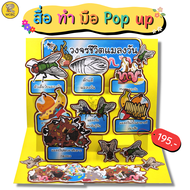 สื่อทำมือ POP-UP วงจรชีวิตแมลงวัน สื่อการสอน สื่ออนุบาล สื่อนวัตกรรม สื่อปฐมวัย สื่อการเรียน ตามหน่ว