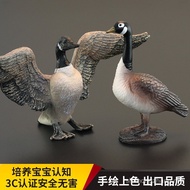 Solid Children Simulation Animal Model Animal Toy Canada Black Goose Dayan Early Education Cognitive