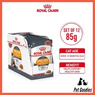 Royal Canin Hair & Skin Gravy (85g x 12 ) Adult Wet Cat Food - Feline Care Nutrition