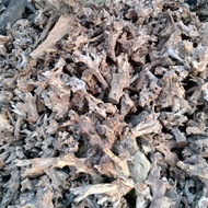 kayu irian aquascape driftwood size xl