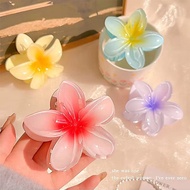 CAMBODIAN HAIR CLIP - FRINGE CLIP - RANDOM COLOR MOTIF HAIR CLIP TOY/