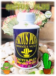 ปุ๋ยแคคตัส 🌵แคคตัสพลัส 🌵 Cactus Plus ปุ๋ยน้ำ ปุ๋ยกระบองเพชร บำรุงแคคตัสแข็งแรง หัวอวบอ้วน ฟื้นฟูต้นโทรม ขนาด 250 ซีซี