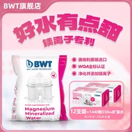 READY STOCK Imported from Germany BWT Water Purifier Filter Cartridge Water Bottle Beishi Kitchen Ma