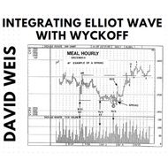 David Weis -  Integrating Elliot Wave with Wyckoff ( MP3s & PDF)