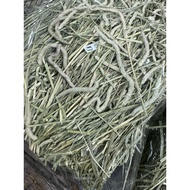 Timothy Grass 1st. Premium Horse 3kg.(No Dust) Old Prolot