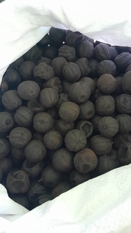 lemon hitam atau lemon kering