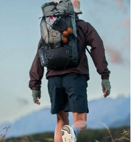 Yamatomichi Mini2 Backpack L 山と道 輕便防潑水登山雙肩包 背包