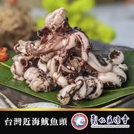 【彰化區漁會】 台灣近海魷魚頭-300g-包  (3包組)
