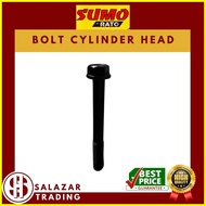 ¤ ❐ ◨ SUMO BOLT CYLINDER HEAD FOR 15HP GASOLINE ENGINE