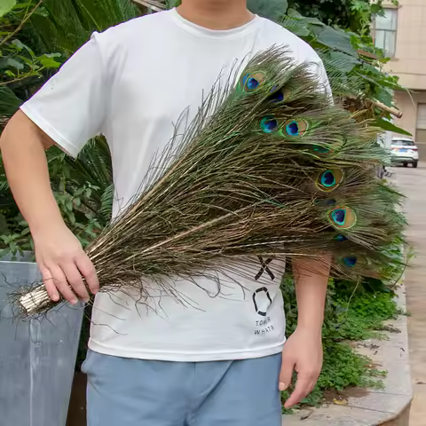 10/20/50PCS Natural Big Eyes Peacock Feathers 25-65CM for Wedding Home Table Center Vase Decoration 