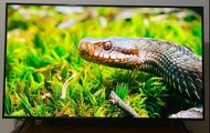 Sony 50吋 50inch X80J 4K Google smart tv 智能電視