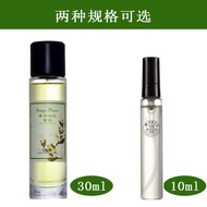 น้ำหอม Edt Orange Blossom Natural Long Lasting Fresh Light Perfume for Women Perfume Spray Perfume O