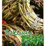 Takway(Daludal)the long root of taro used as vegetables.