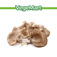 [Fresh Vege] Grey Oyster Mushroom 500g