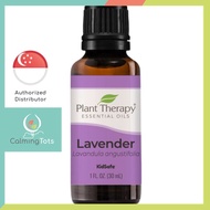 Plant Therapy Lavender Essential Oil