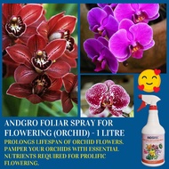 ANDGRO Foliar Spray for Flowering - Orchid (1000ml) [enhance healthy plants flower growth fertiliser fertilizer]