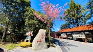 第二人折500｜台中宜蘭旅遊｜高山農場~武陵/福壽山戀夏避暑賞花趣.棲蘭森呼吸.三星拔蔥趣.梅花湖.梨山賓館三日