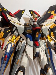 Pg Strike Freedom Gundam 全上色突擊自由高達 mg pg hg sd