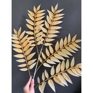 Star fruit branches - Decorative branches, ornamental branches, decorative branches