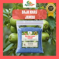 [KHAS SERIES] Baja Jambu Batu 12-12-17-2 Premium Import | Baja Pokok Guava Cepat Berbuah Lebat | Bua