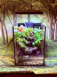 訂做  水陸缸 流水缸 鼠婦 蟹缸 辣椒蟹 惡魔蟹專用 造景設計 魚缸造景 苔蘚微景觀  岩石造景 植物擺件 桌面擺設 窗台裝飾 苔蘚花園 情緒治癒 禮物