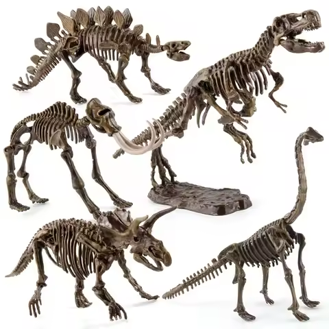 Assemble Dinosaur Bones Triceratops Skeleton Fossil Mammoth Mammuthus Assembled Tyrannosaurus Rex Pu