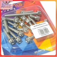 HENG Crankcase Bolt Set (17pcs) - Gold and White for Yamaha Mio Sporty, Soulty, Amore