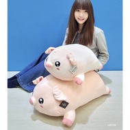 [Big Pig Doll] Big Doll Pillow Super Soft