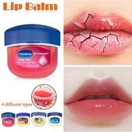 VASEINA Lip Therapy Lipbalm Rosy Lips / Aloe Lips ala Vaseline Petroleum Jelly Borong Wholesale Lip 