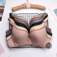 Sunny Cup A Wired Push Up Bra Size: 34-40A 8924