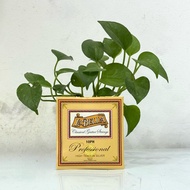 La Bella 10PH silver nylon guitar string - High