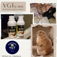 Termurah !!! VGT nutrisi Kelinci Marmut Hamster Vitamin Penggemuk Pedaging Hias organik