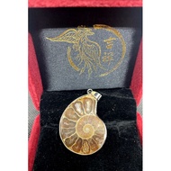 JX The World's Nest, the Heart-Shaped Ammonite Pendant