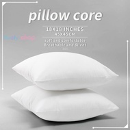 Cushion Filler Pillow Inserts 45x45cm/30x50cm/50x75cm Home Sofa Cushion Core Cotton Throw Pillow