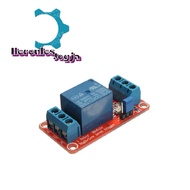 1 Channel 12V Hi-Lo Input Optocoupler Relay Module