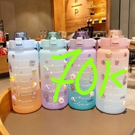 Combo of 3 2 liter lined water bottles