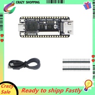 Nano 20K FPGA Development Board RISCV Linux for Retro Game Player