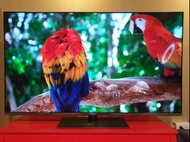 Panasonic 55吋 4K FX800H 電視