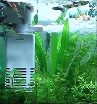 全新水族箱過濾器，魚缸用品，有2款多功能過濾器，大機：20W雙層過濾功能=$60元，細機：4W單層過濾功能=$35，適合大細呎吋魚缸，有增加打氣及吸污潔淨力強，附送全新生化過濾棉