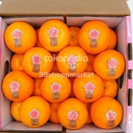 Jeruk Mandarin Japan Sakura mikan 1 kg