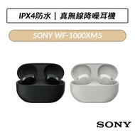 全新現貨 SONY WF-1000XM5 真無線 降噪 入耳式 藍芽 耳機 Hi-Res 支援快充 IPX4防水 黑色白色