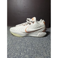 N*ke Lebron 21 "okoya" size 40