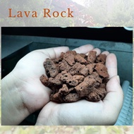 ◈♂☈Lava Rock Lava Stone For Aquarium Setup / Terrarium / Biological Filter [1 Kilo]