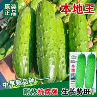 Local Cucumber Seeds Flower Green Big Hanging Melon Fruit Cucumber Seeds Original Four Seasons Veget