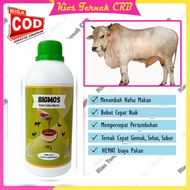 BIGMOS Penggemuk Sapi Molase Tetes Tebu Murni Penambah Nafsu Makan Hewan Ternak Kambing Domba Unggas