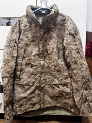 Arcteryx leaf aor1 level8 parka