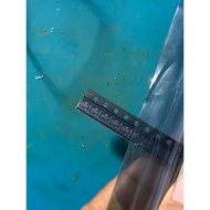 TI REF3033 AIDBZR REF3033AIDBZR SOT-23 Voltage Reference