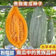 Noble Pumpkin Seed Xinjiang Ugly Pumpkin Chestnut Shellfish Pumpkin Seed Sweet Powder Glutinous Pump