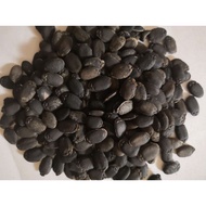 300 luffa seeds
